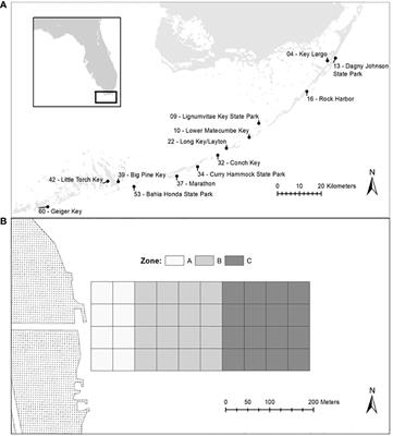 Water quality negatively impacts coral occurrence in eutrophic nearshore environments of the Florida Keys